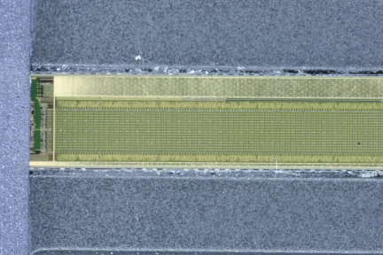 Fingerabdruckscanner eines Memory Sticks
